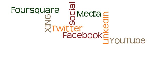 Social Media Marketing (SMM)